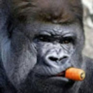 Meet your Posher, Liam